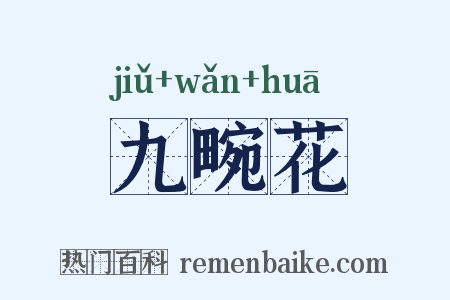 九畹花是什么意思的图片